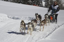 Kandersteg 2013